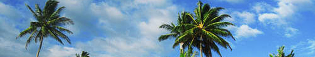 Hawaii Marathon Club